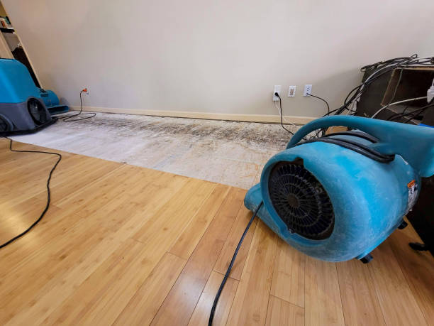 Professional Water Extraction technician working in Boulder, CO